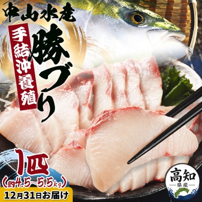 【12月31日お届け】高知県産ブリ1尾 (4.5kg～5.5kg) 「勝ブリ」 ny-0022