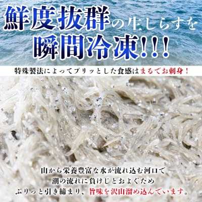 生しらす お刺身 10パック 計700g 便利な小分けパック 特製タレ付 fa-0008