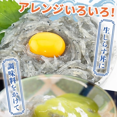 生しらす お刺身 10パック 計700g 便利な小分けパック 特製タレ付 fa-0008