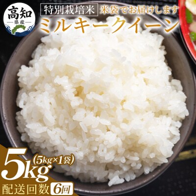 【6回定期便】特別栽培米 ミルキークイーン 5kg 令和8年産 Wsr-0006
