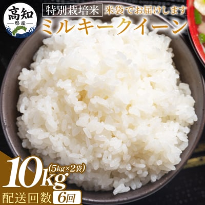 【6回定期便】特別栽培米 ミルキークイーン 10kg 令和8年産 Wsr-0009