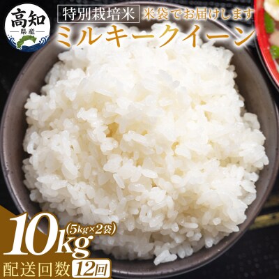 【12回定期便】特別栽培米 ミルキークイーン 10kg 令和8年産 Wsr-0010