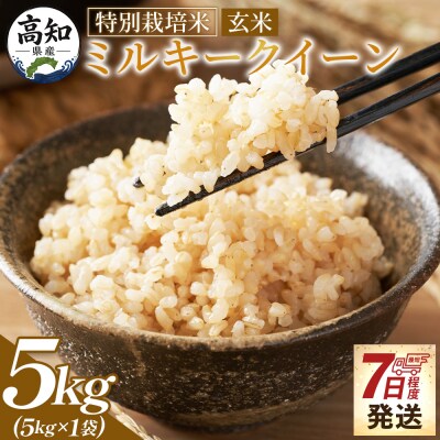 特別栽培米 ミルキークイーン 玄米 5kg 令和8年産 sr-0011
