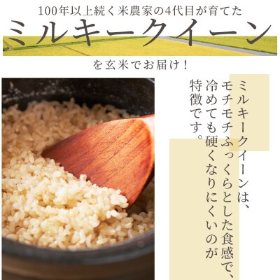 【6回定期便】特別栽培米 ミルキークイーン 玄米 5kg 令和8年産 Wsr-0012