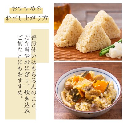 【12回定期便】特別栽培米 ミルキークイーン 玄米 5kg 令和8年産 Wsr-0013