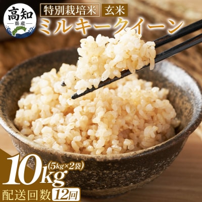 【12回定期便】特別栽培米 ミルキークイーン 玄米 10kg 令和8年産 Wsr-0016