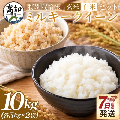 特別栽培米 ミルキークイーン 玄米 白米セット 計10kg 令和8年産 sr-0017