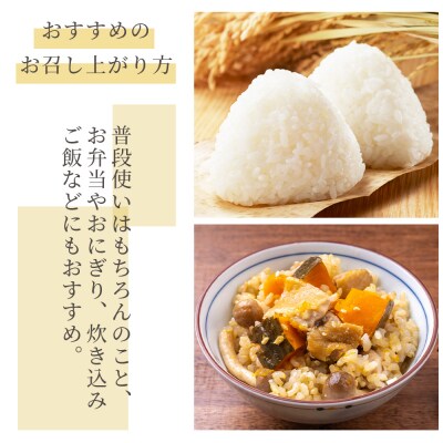 特別栽培米 ミルキークイーン 玄米 白米セット 計10kg 令和8年産 sr-0017