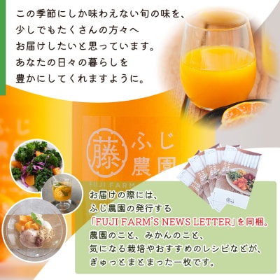みかんジュース 100%ストレートジュース(720ml) fn-0015