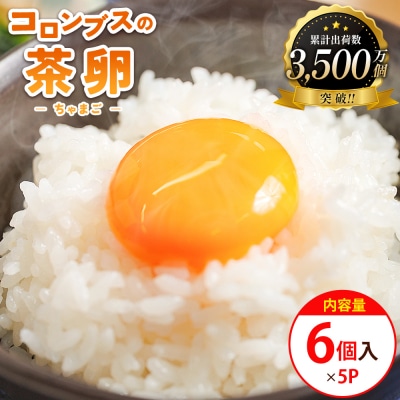 新鮮 卵 コロンブスの茶卵 6個入×5P kl-0004