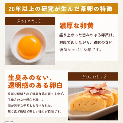 新鮮 卵 コロンブスの茶卵 6個入×5P kl-0004