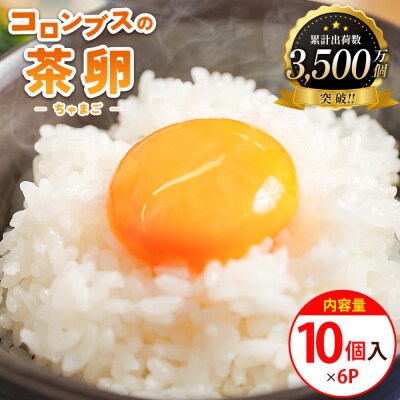 新鮮 卵 コロンブスの茶卵 10個入×6P kl-0005