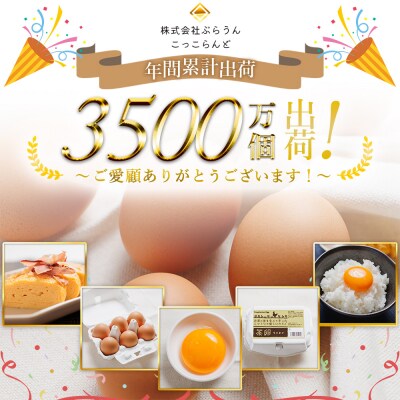 新鮮 卵 コロンブスの茶卵 10個入×6P kl-0005