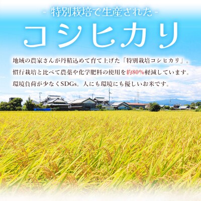 米(コシヒカリ) 2合(300g)×20 真空パック ke-0064