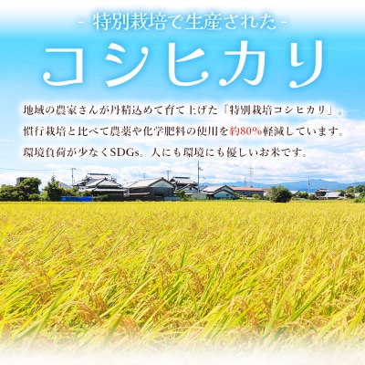 米(コシヒカリ) 2合(300g)×30 真空パック ke-0065