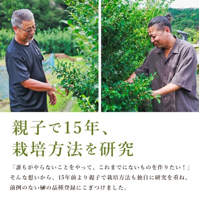 本榊 2束 国産 (6～10本)ht-0001