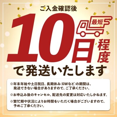 【10日程度で発送】猫様スクラッチソファー 1個 ta-0091