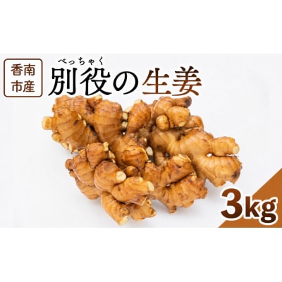 生姜 家庭用 3kg 別役の生姜 高知 bc-0034
