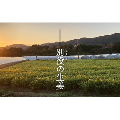 生姜 家庭用 3kg 別役の生姜 高知 bc-0034