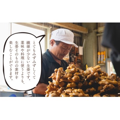 生姜 家庭用 3kg 別役の生姜 高知 bc-0034