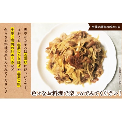 生姜 家庭用 3kg 別役の生姜 高知 bc-0034