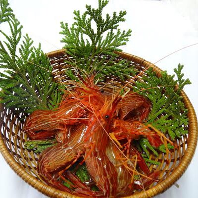 江差ブランド「シマエビ」(500g)
