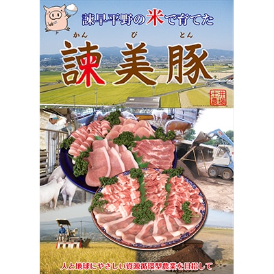 【のし付き】ロースたっぷりしゃぶしゃぶ焼肉セット 2.7kg　諫早平野の米で育てた諫美豚