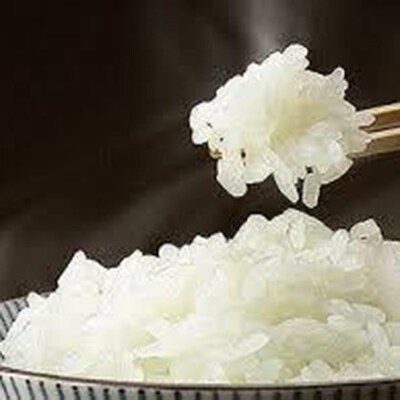 【平成30年産】妙高産斐太の里コシヒカリ「旬」2kg