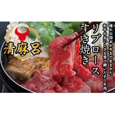 牛肉　清麻呂牛リブロースすきやきセット600g yy-10