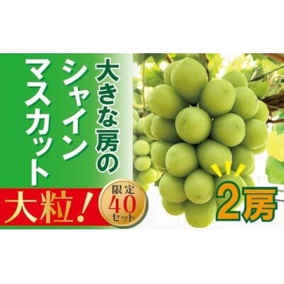 岡山のあま～い「シャインマスカット」2房(大房)　aa-2
