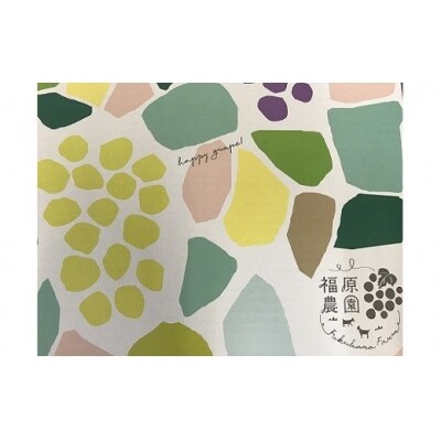 岡山のあま～い「シャインマスカット」2房(大房)　aa-2