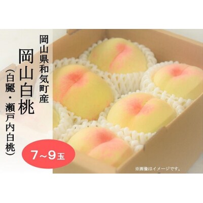 岡山白桃7～9玉(白麗・瀬戸内白桃)　EE-45