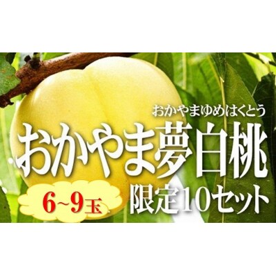 おかやま夢白桃(6～9個)　FF-35
