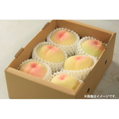 おかやま夢白桃(6～9個)　FF-35