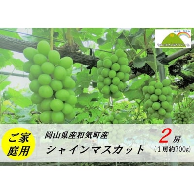 【ご家庭用】シャインマスカット　2房(1房約700g)　YY-7