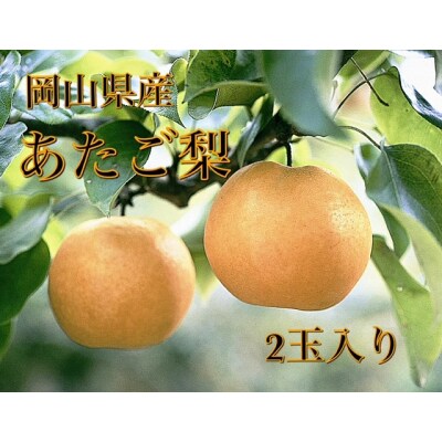 岡山県産　あたご梨　2玉入り　DD-69