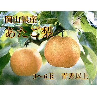 岡山県産　あたご梨　3～6玉　青秀以上　ZZ-10