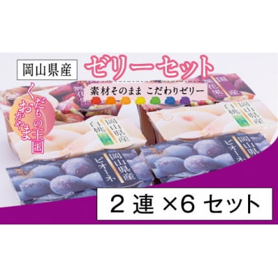 ゼリーセット(2連×6セット) YY-7
