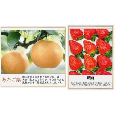 果物とお肉の定期便　全8回コースB　Pf-2