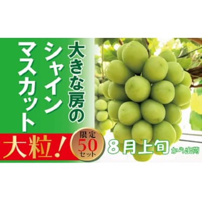 【贈答用】　福原農園　岡山のあま～い「シャインマスカット」　1房(大房)　yy-17