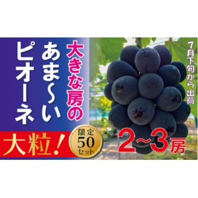 【贈答用】 福原農園 岡山のあまーいピオーネ(約1kg2～3房)oo-111