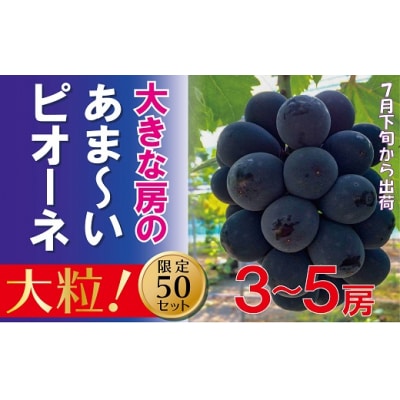 【贈答用】 福原農園 岡山のあまーいピオーネ(約2kg3～5房) EE-49