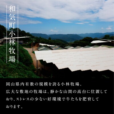 ローストビーフ　約300g　特性ソース付き　国産　黒毛牛　備前牛　小分け