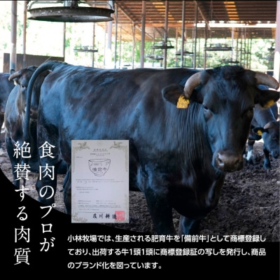 備前牛(黒毛牛)切り落とし　600g　CC-106