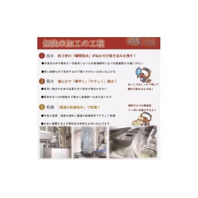 お米　【無洗米】岡山県産きぬむすめ100%(令和7年産)15kg　XX-4