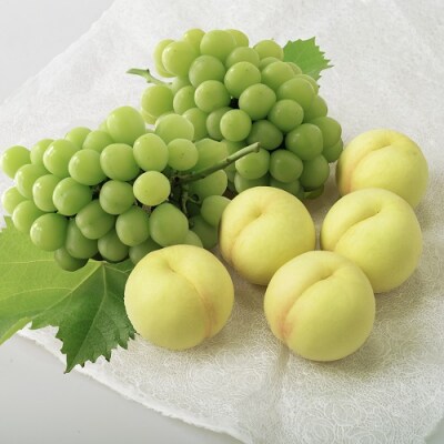 【先行予約】岡山県産　岡山白桃とシャインマスカット　環-8