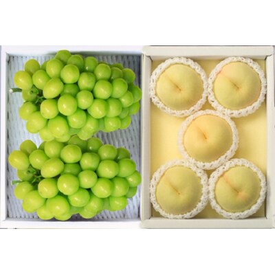 【先行予約】岡山県産　岡山白桃とシャインマスカット　環-8