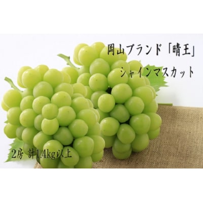 【令和7年発送】岡山県産　秋のシャインマスカット「晴王」2房(約1.4kg)hh-102
