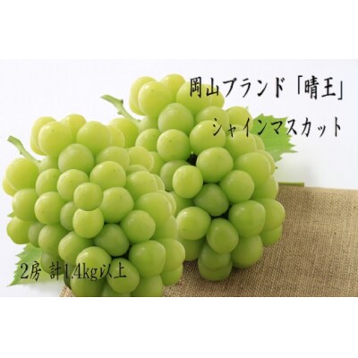 【先行予約】岡山県産　秋のシャインマスカット「晴王」2房(約1.4kg)環-12