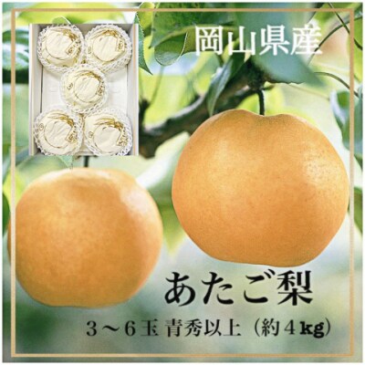 岡山県産　あたご梨3～6玉　青秀以上(約4kg)化粧箱入り　ZZ-13